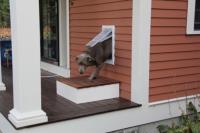 Dog Door Installation In SLO image 5